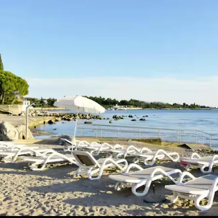 App Meri * סבודרייה